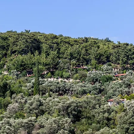 فيلة Terra Villalari Gökova