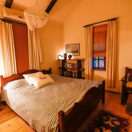 فيلة Terra Villalari *