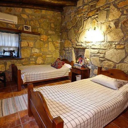 فيلة Terra Villalari *