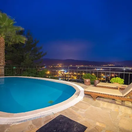 فيلة Terra Villalari