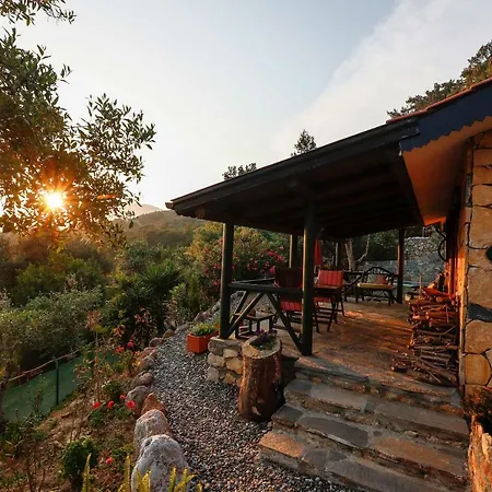 Terra Villalari فيلة Gökova