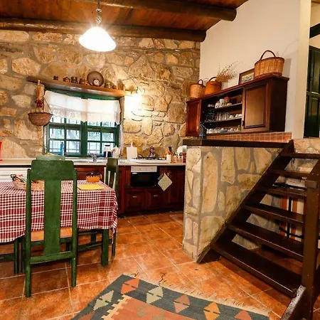 Terra Villalari فيلة