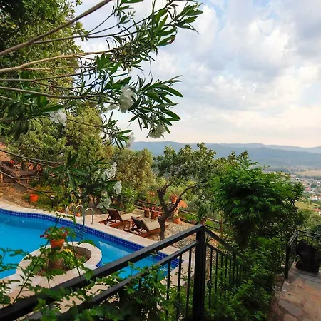 فيلة Terra Villalari *