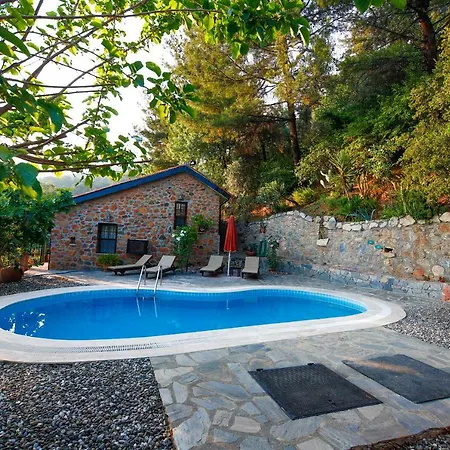 Terra Villalari فيلة Gökova