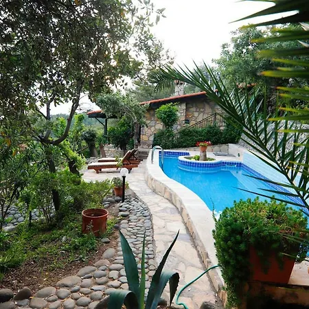 فيلة Terra Villalari