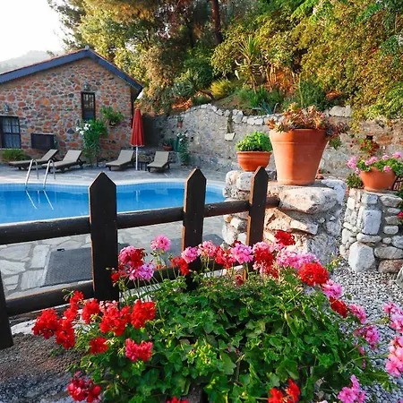 فيلة Terra Villalari