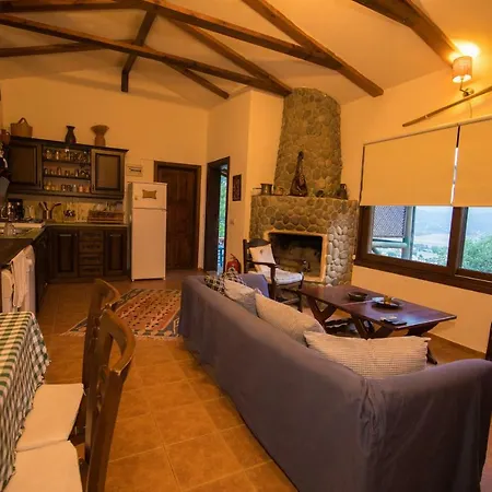 Terra Villalari فيلة *