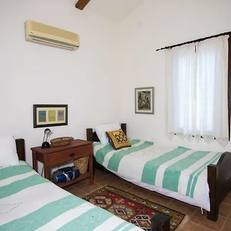 Terra Villalari فيلة