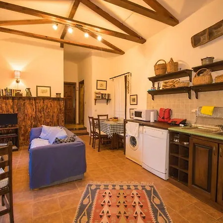Terra Villalari فيلة